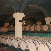 Weinfässer im Weinkeller von Borgo Scopeto